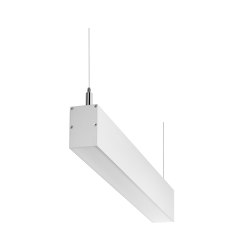 LINEA M LTS 307 | Suspended lights | Sentinel