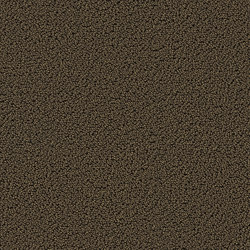 Highloop 7706 Lobo | Sound absorbing flooring systems | OBJECT CARPET